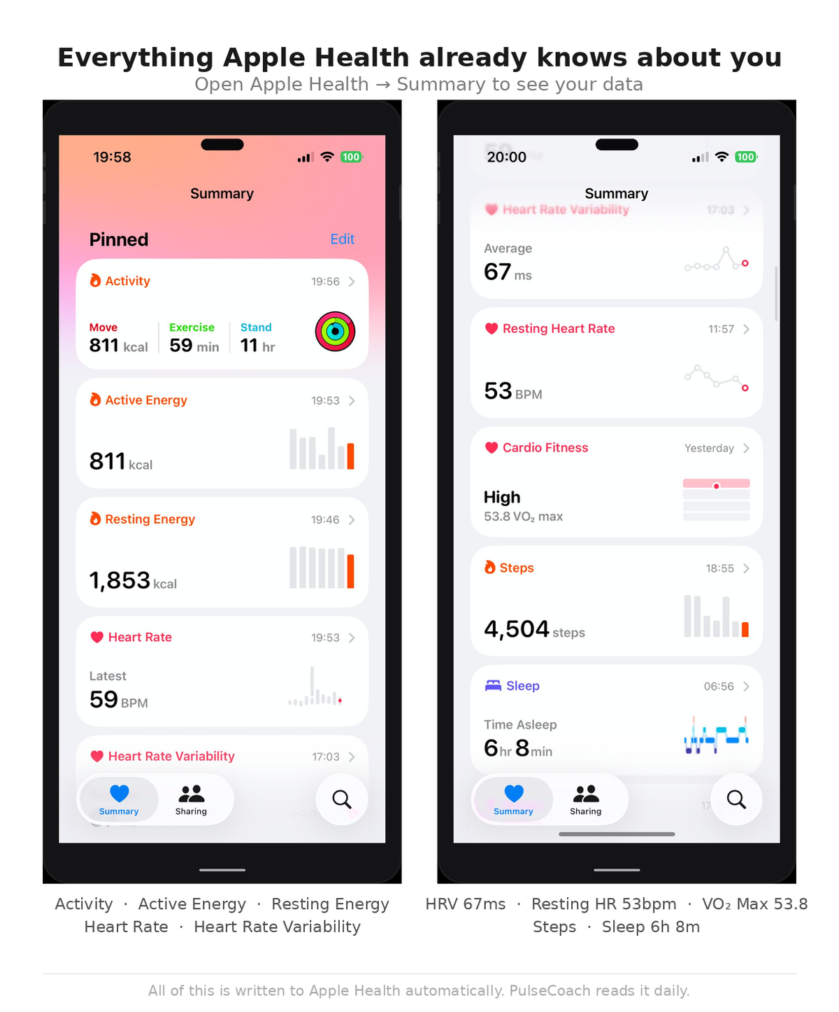Apple Watch health metrics overview